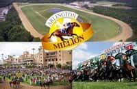 Meadowlands Entries & Results for Friday, 10.